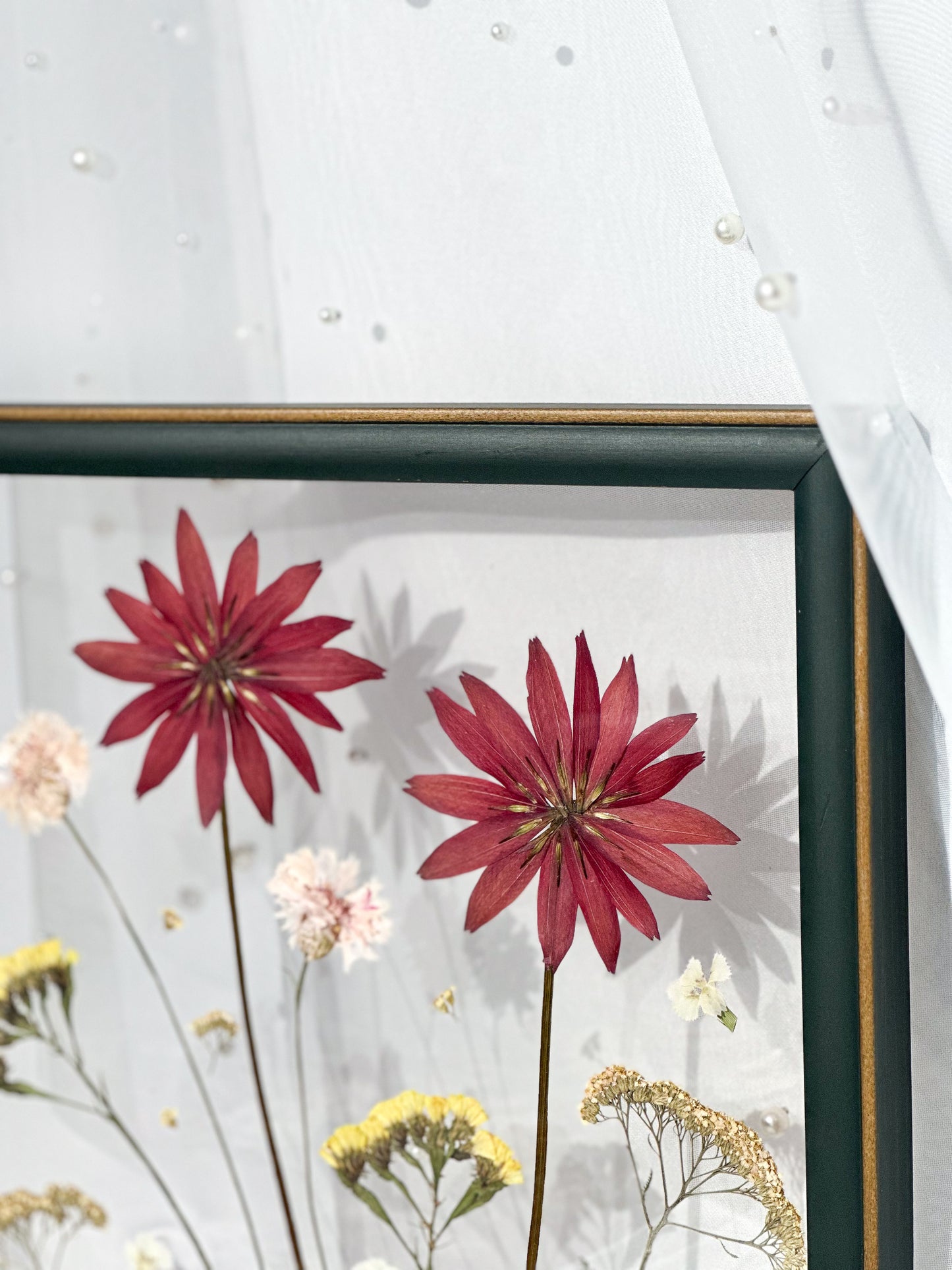 Pressed Blooms III - Petite