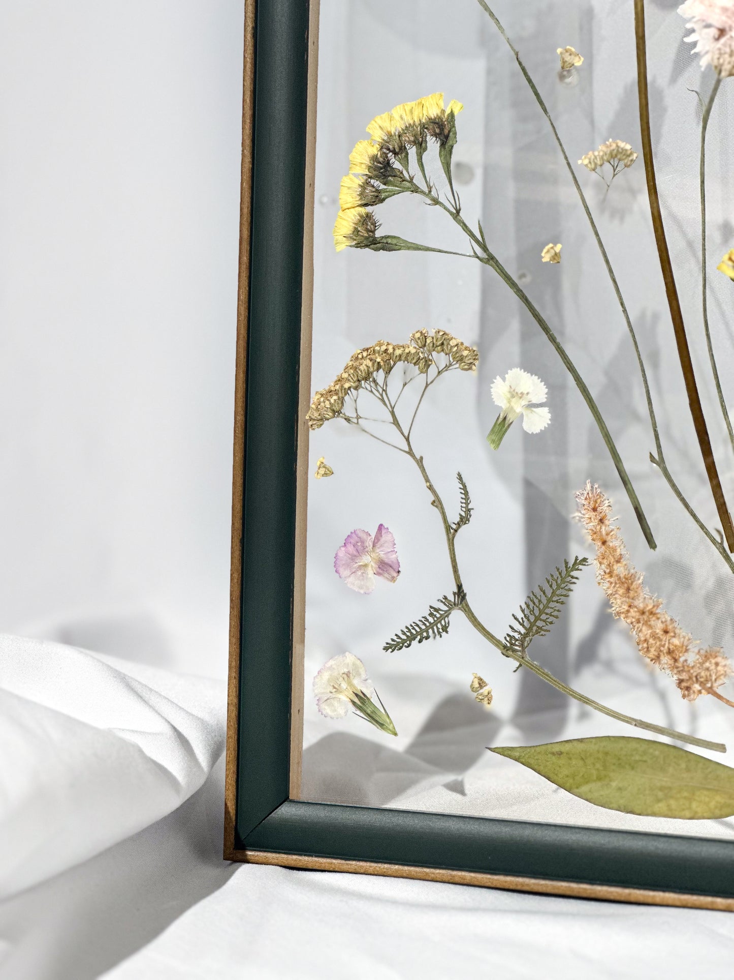 Pressed Blooms III - Petite