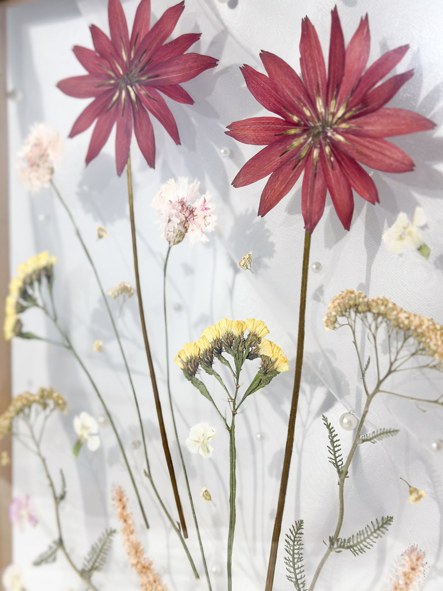 Pressed Blooms III - Petite