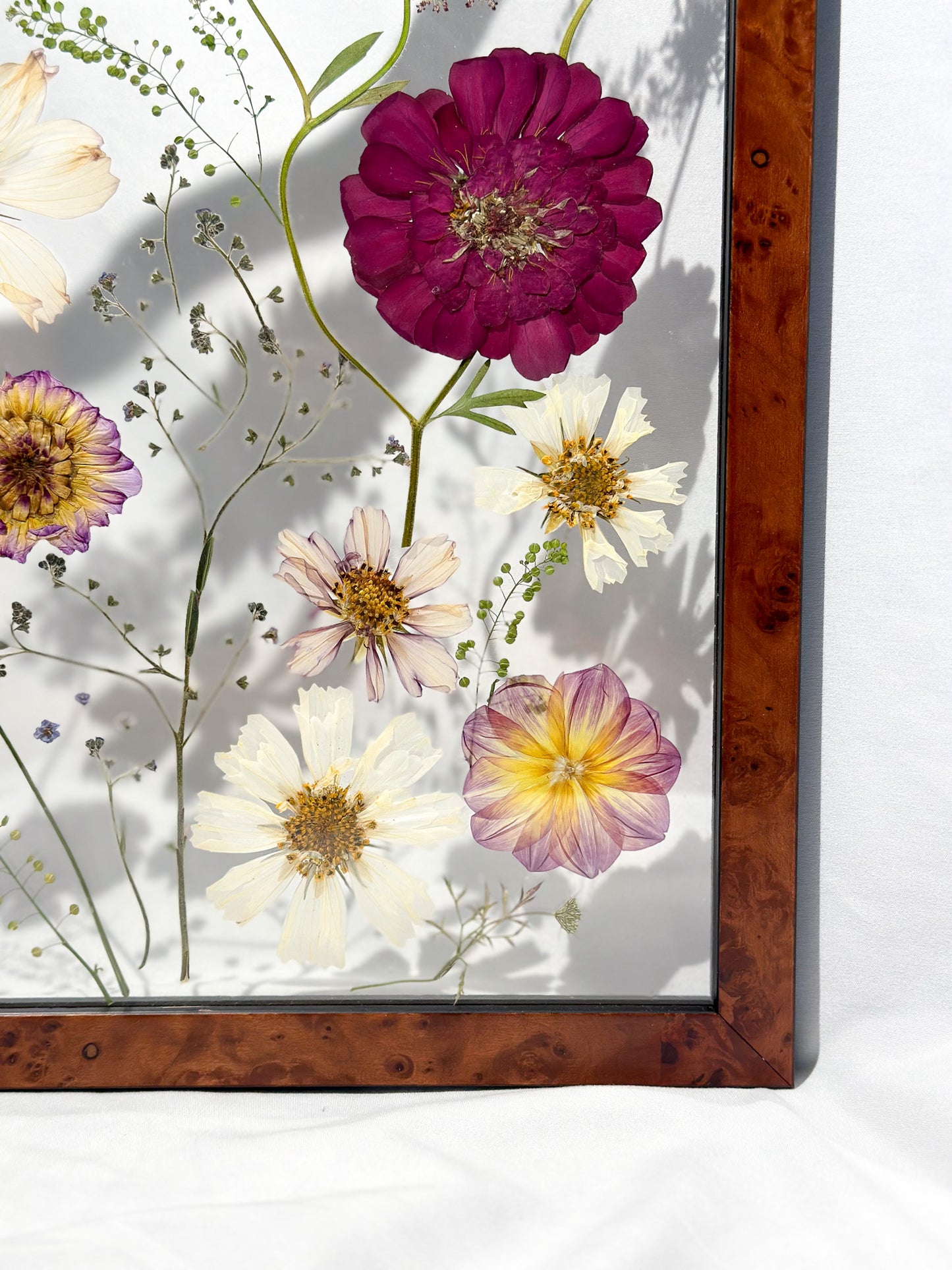 Pressed Blooms IV - Beauty