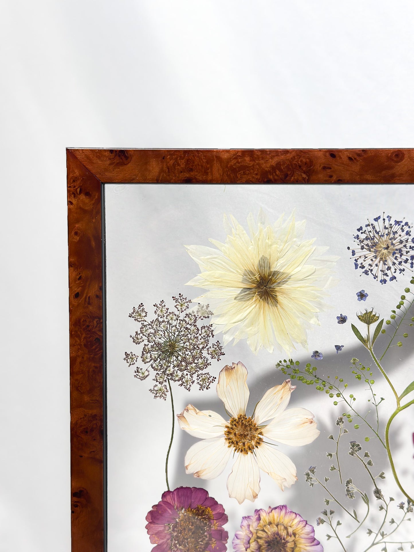 Pressed Blooms IV - Beauty