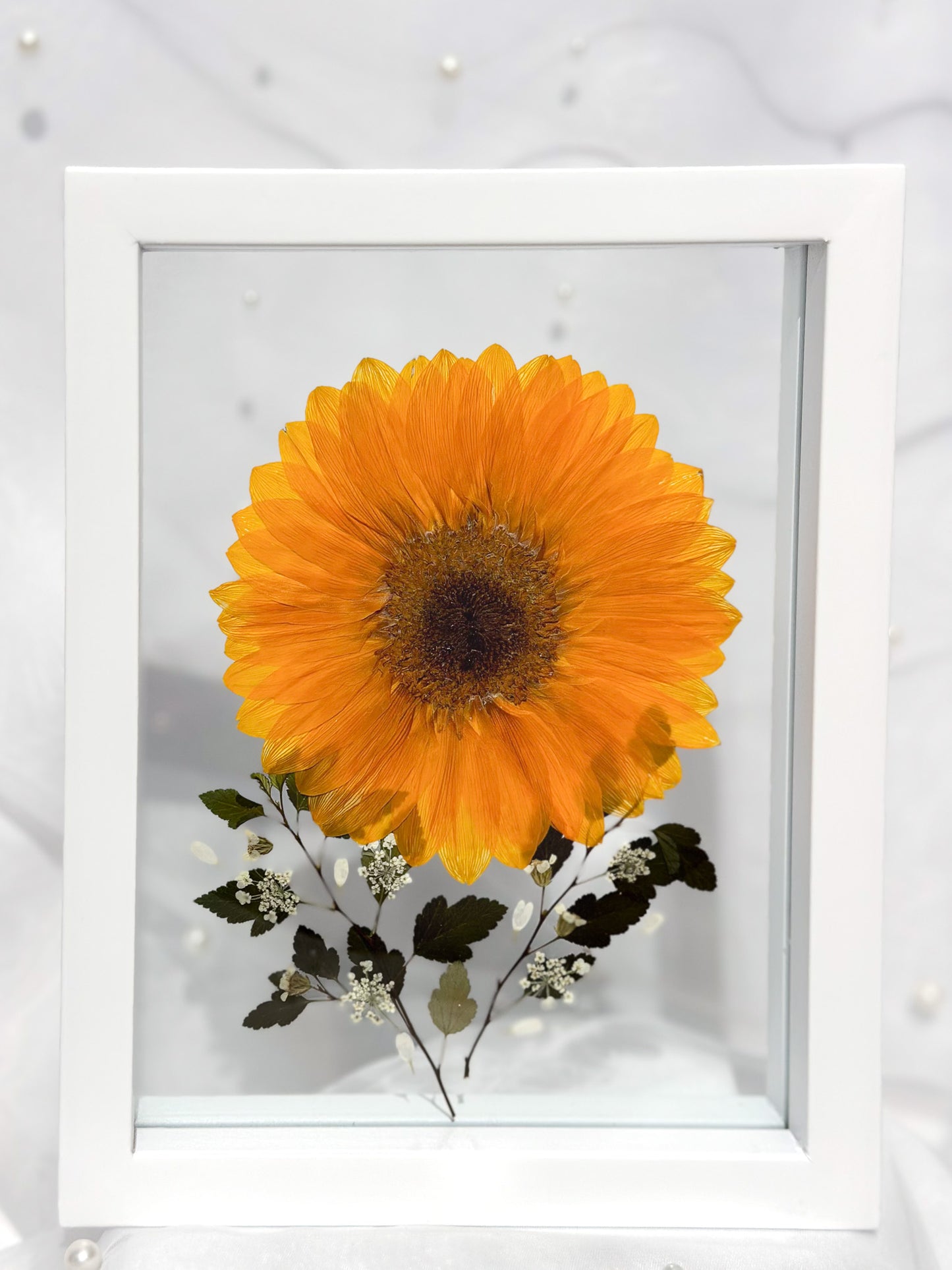 Frame VII - Sinag