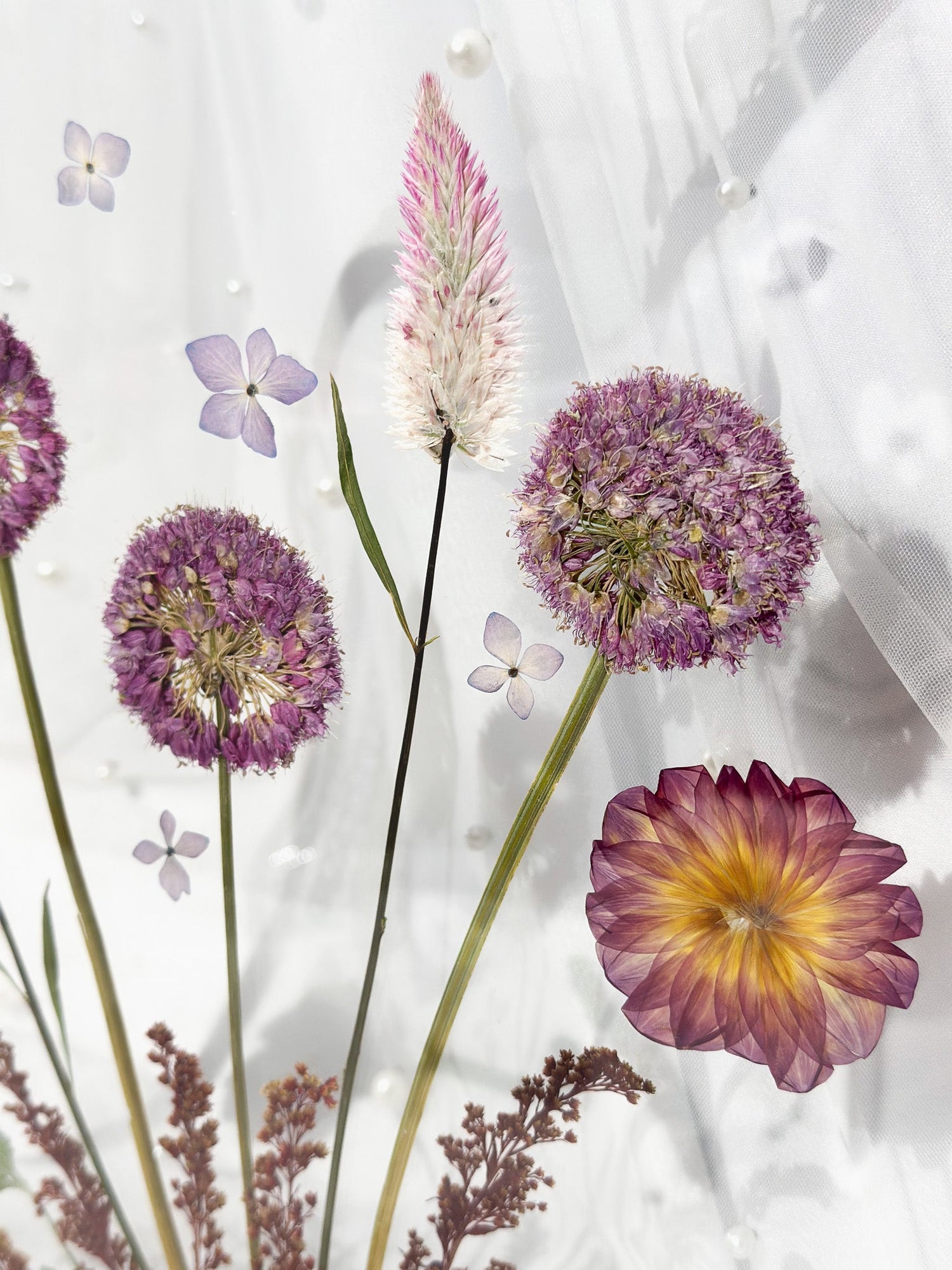 COLLECTION II - PETAL PORTRAITS
