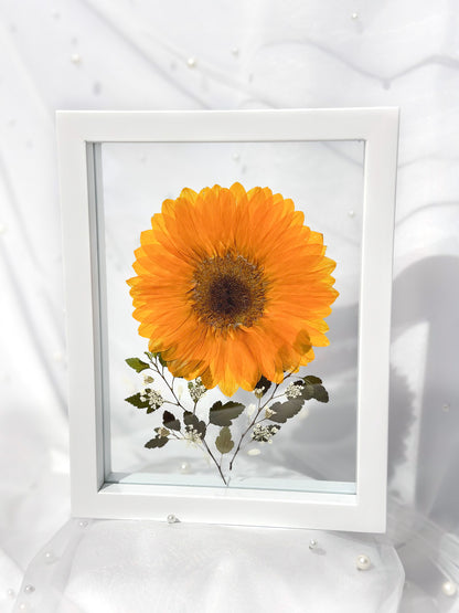 Frame VII - Sinag