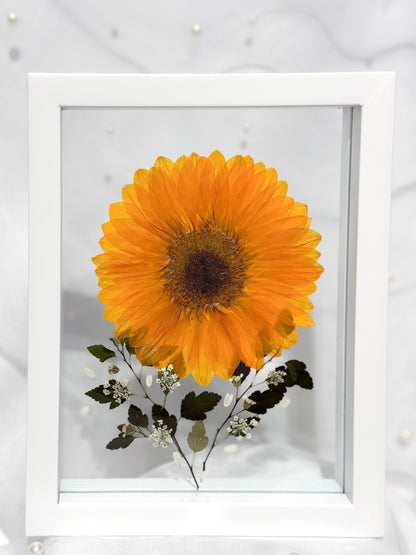 Frame VII - Sinag
