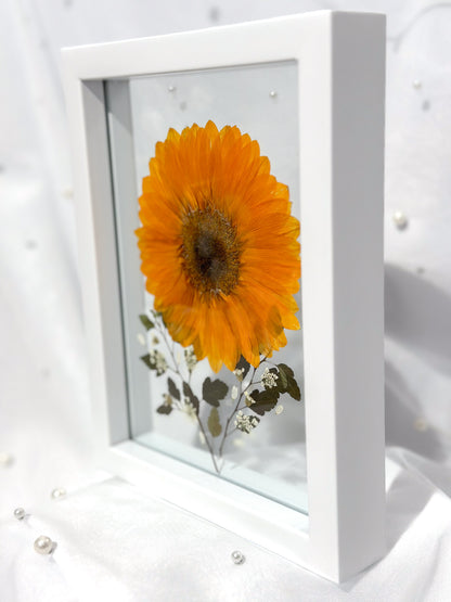 Frame VII - Sinag